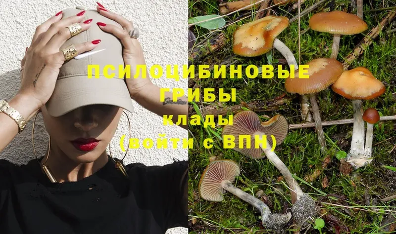 Галлюциногенные грибы Psilocybine cubensis  как найти   Тарко-Сале 